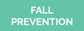 mind and mobility fall prevention